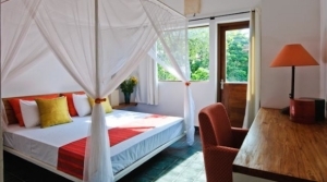 Imagen de la habitación del Hotel Plantation Urban Resort and Spa. Foto 2