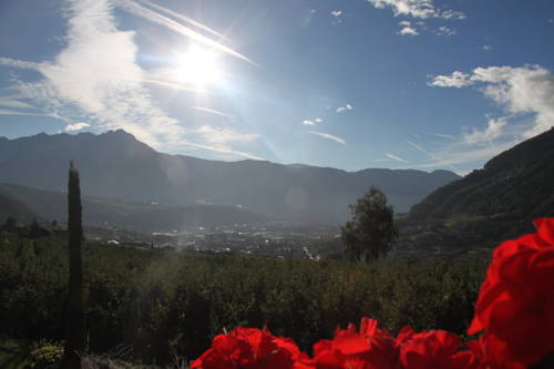 Imagen de la habitación del Hotel Plarserhof. Foto 4