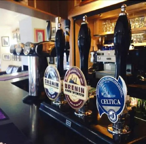 Imagen general del Hotel Plas y Brenin. Foto 5