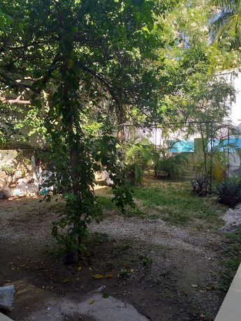 Imagen de los exteriores del Hotel Platas. Foto 11