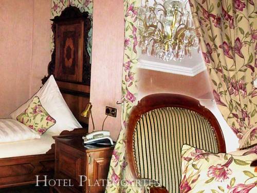 Imagen de la habitación del Hotel Platengarten. Foto 9
