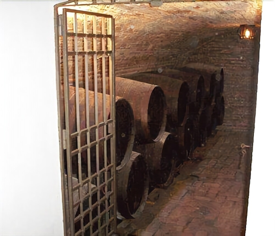 Imagen de los interiores del Hotel Plateros. Foto 19