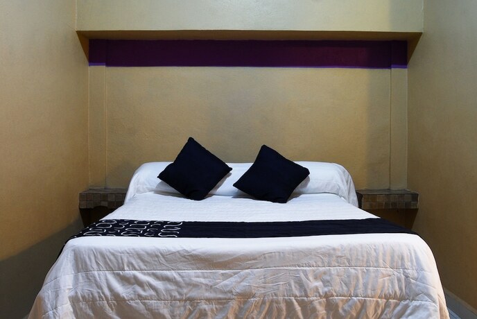 Imagen general del Hotel Platino, Monterrey. Foto 8
