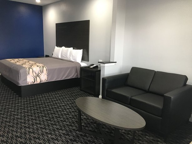 Imagen de la habitación del Hotel Platinum Inn and Suites. Foto 4