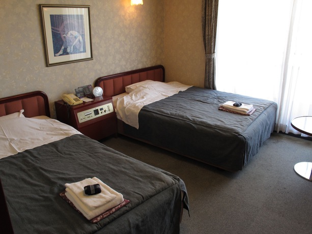 Imagen de la habitación del Hotel Platon, Nagano. Foto 6