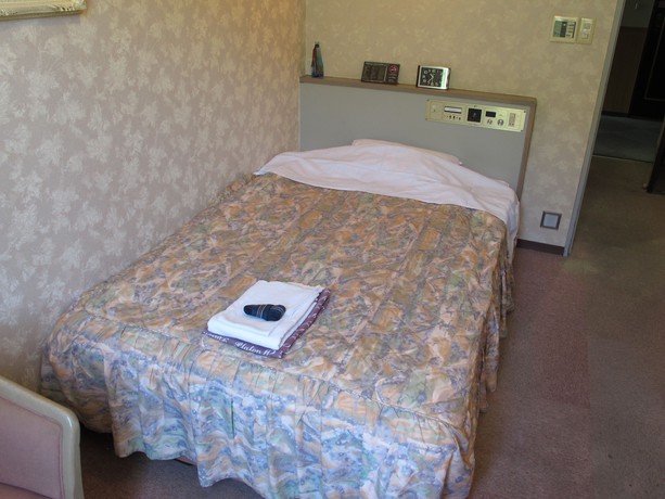Imagen de la habitación del Hotel Platon, Nagano. Foto 10
