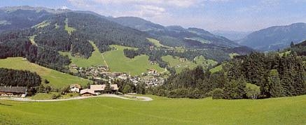 Imagen general del Hotel Platzl, Wildsch&ouml;nau. Foto 7