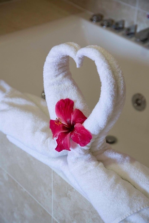 Imagen general del Hotel Playa Paraíso. Foto 6