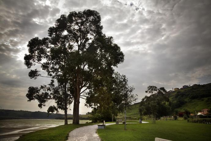 Imagen de los exteriores del Hotel Playa Ribera. Foto 6