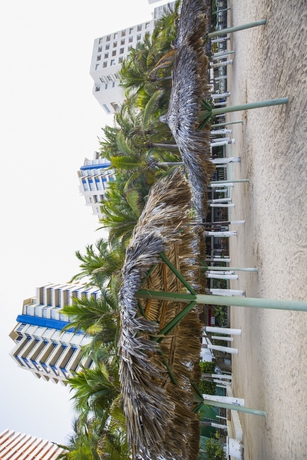 Imagen de los exteriores del Hotel Playa Suites. Foto 12