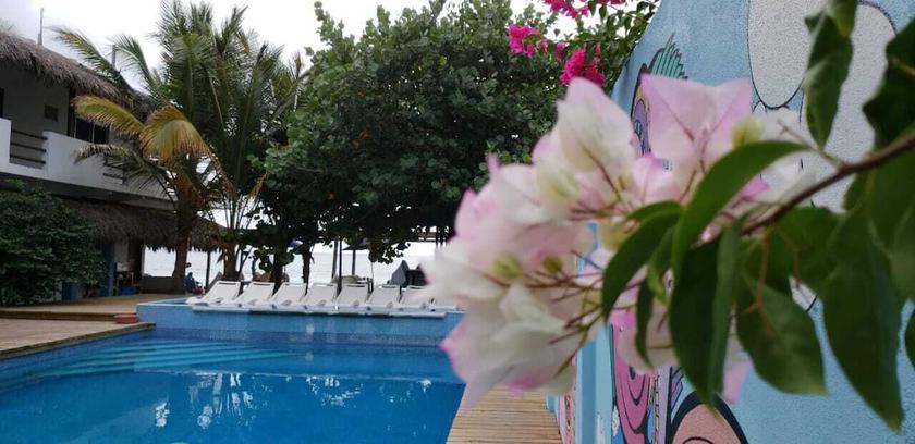 Imagen de la piscina del Hotel Playa Zipolite. Foto 10