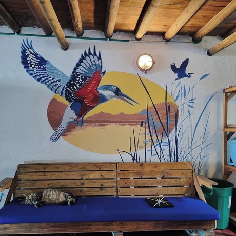 Imagen de los interiores del Hotel Playa del Ritmo Beach Hostel and Bar. Foto 16