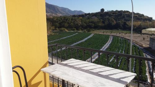 Imagen de la habitación del Hotel Playamaro. Foto 4