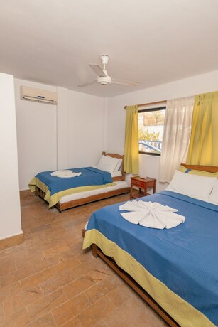 Imagen de la habitación del Hotel Playazul Cove&ntilde;as. Foto 17