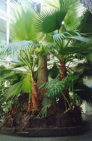 Imagen de los exteriores del Hotel Plaza, Adelaide. Foto 5