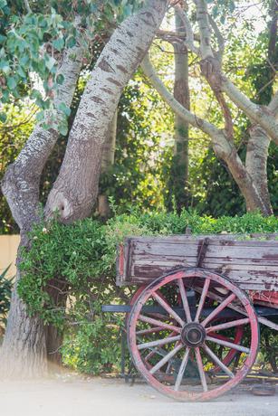 Imagen de los exteriores del Hotel Plaza, Alejandrópolis. Foto 12