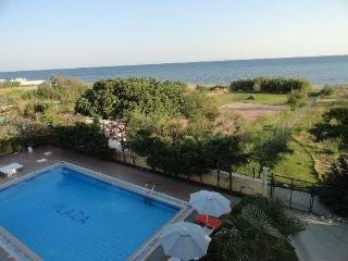 Imagen de la piscina del Hotel Plaza, Alejandr&oacute;polis. Foto 4
