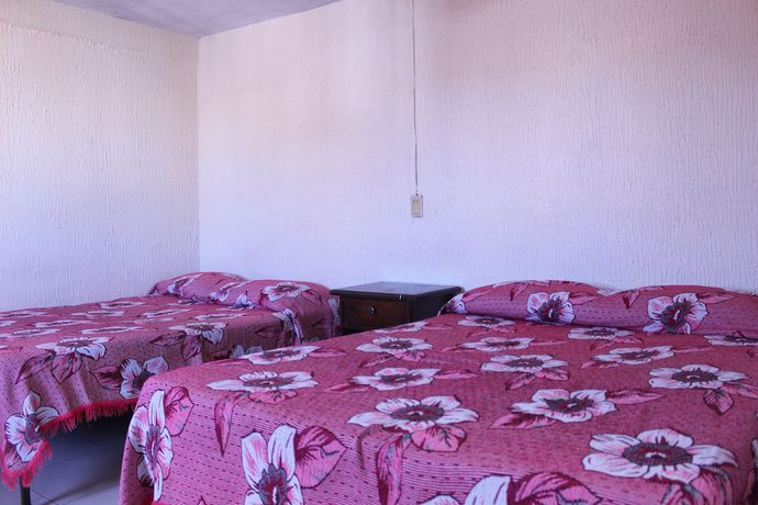 Imagen de la habitación del Hotel Plaza Aleman. Foto 14