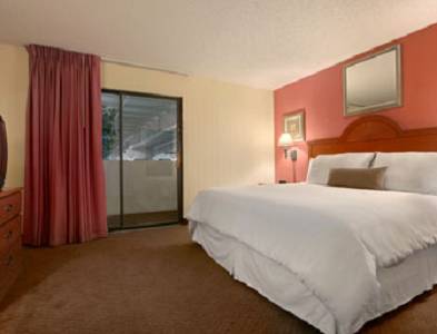 Imagen de la habitación del Hotel Plaza And Suites. Foto 3