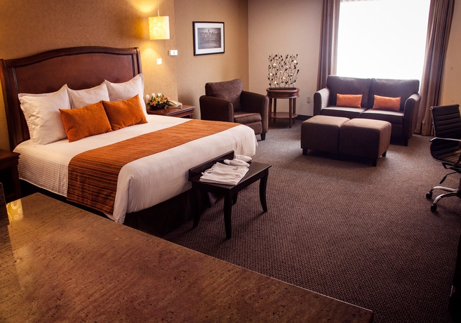 Imagen de la habitación del Hotel Plaza Camelinas. Foto 2