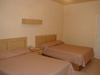 Imagen de la habitación del Hotel Plaza Consulado. Foto 5