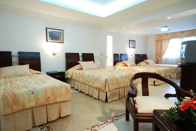 Imagen de la habitación del Hotel Plaza De Las Americas. Foto 14