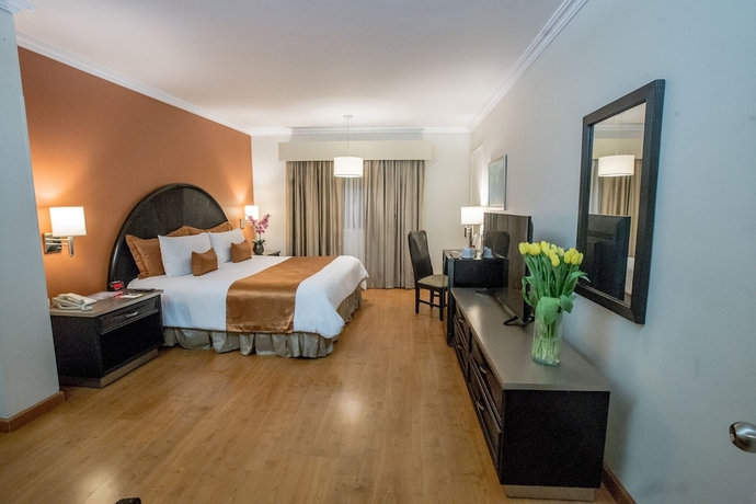 Imagen de la habitación del Hotel Plaza De Oro. Foto 6