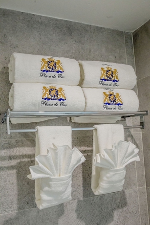 Imagen de la habitación del Hotel Plaza De Oro. Foto 8
