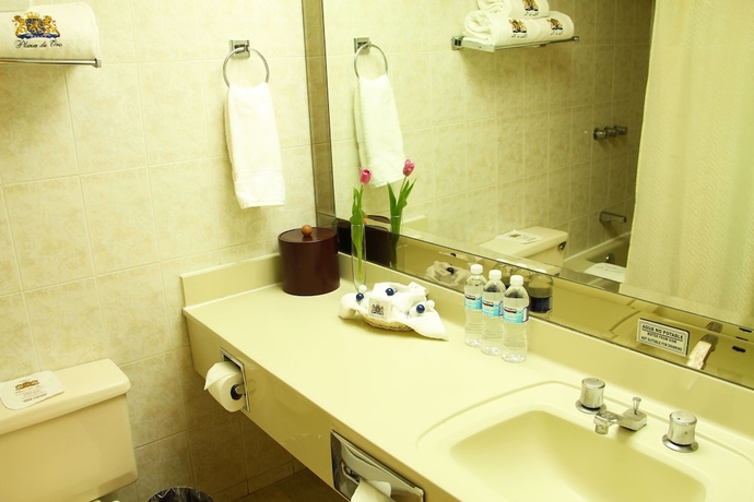 Imagen de la habitación del Hotel Plaza De Oro. Foto 11