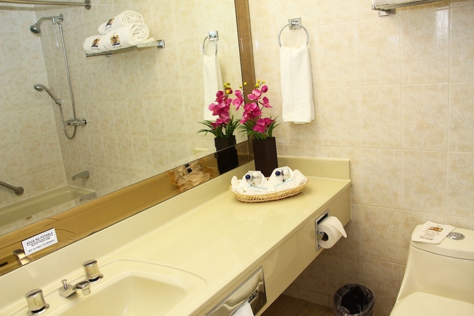 Imagen de la habitación del Hotel Plaza De Oro. Foto 12
