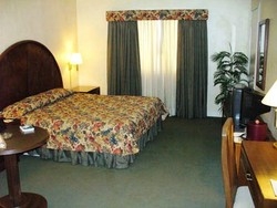 Imagen de la habitación del Hotel Plaza De Oro. Foto 3