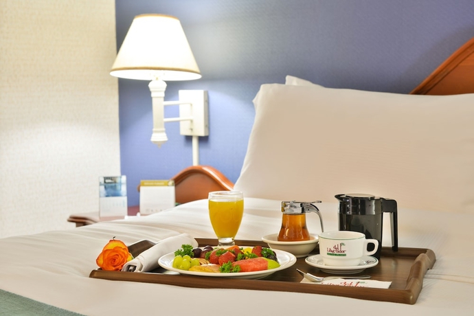 Imagen de la habitación del Hotel Plaza Del Libertador. Foto 9