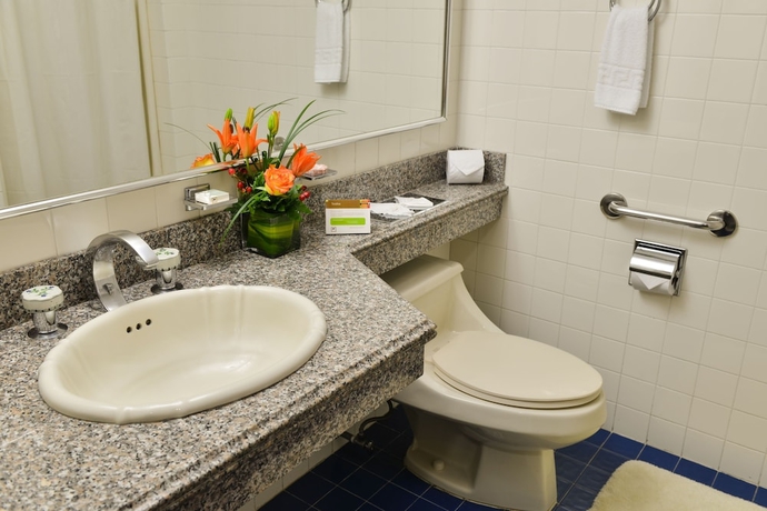 Imagen de la habitación del Hotel Plaza Del Libertador. Foto 15