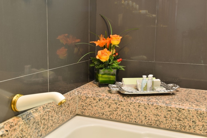 Imagen de la habitación del Hotel Plaza Del Libertador. Foto 18