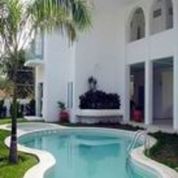 Imagen de la piscina del Hotel Plaza Delphinus. Foto 8