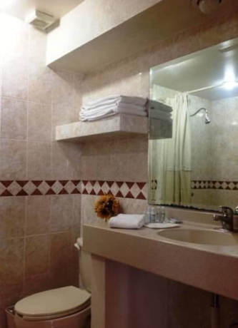 Imagen de la habitación del Hotel Plaza Ejecutivo. Foto 10