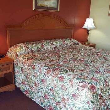 Imagen de la habitación del Hotel Plaza Inn Springfield. Foto 6