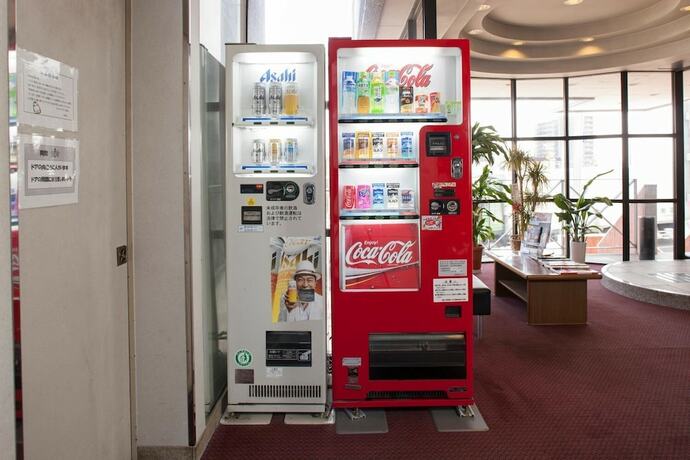 Imagen de los interiores del Hotel Plaza Inn Tokushima. Foto 18