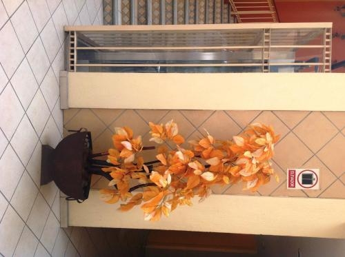 Imagen general del Hotel Plaza Jardin, Tequila. Foto 4