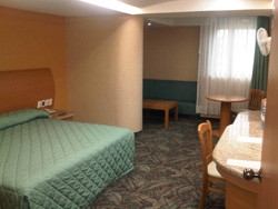 Imagen de la habitación del Hotel Plaza Las Fuentes. Foto 2