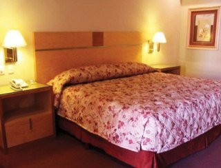 Imagen de la habitación del Hotel Plaza Las Quintas. Foto 7