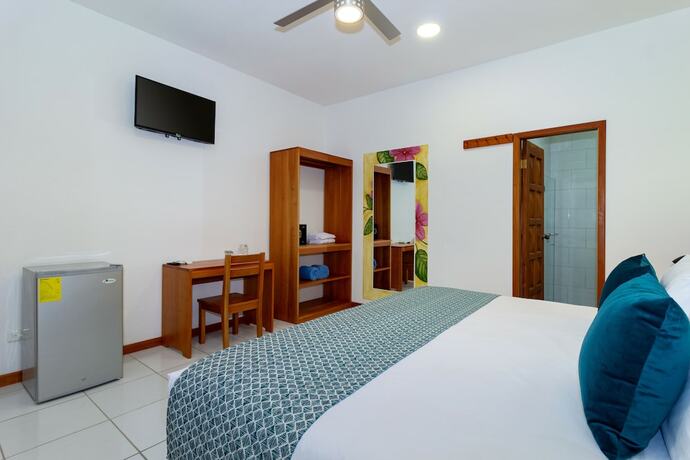 Imagen general del Hotel Plaza Luna Suites. Foto 4