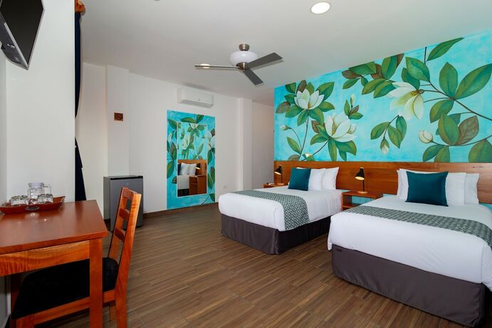 Imagen de la habitación del Hotel Plaza Luna Suites. Foto 15