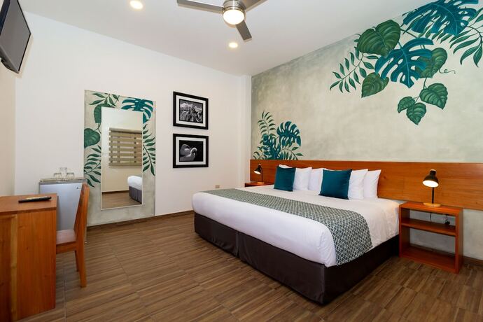 Imagen general del Hotel Plaza Luna Suites. Foto 10