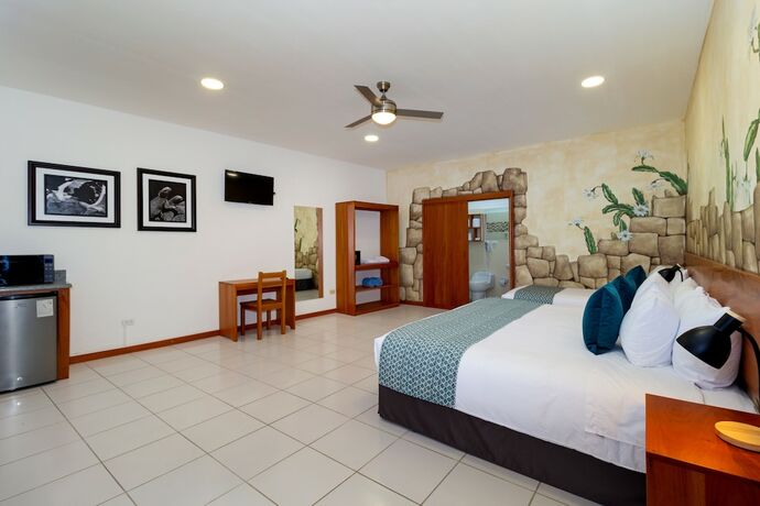 Imagen de la habitación del Hotel Plaza Luna Suites. Foto 19