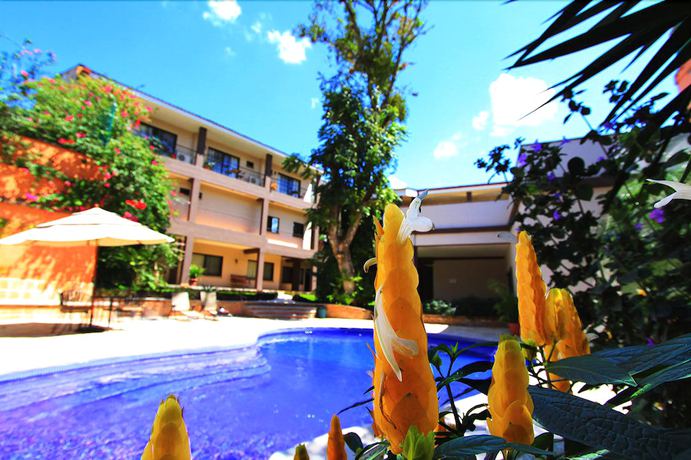 Imagen de la piscina del Hotel Plaza Magdalena. Foto 18