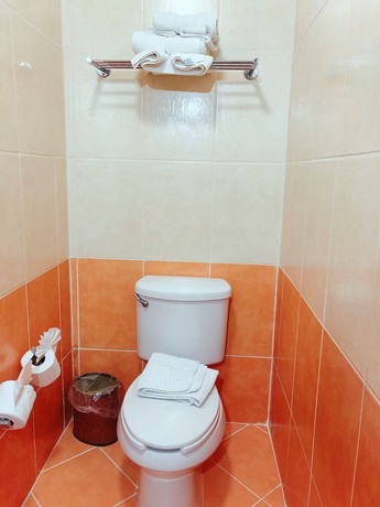 Imagen de la habitación del Hotel Plaza Magnolias Suites. Foto 15