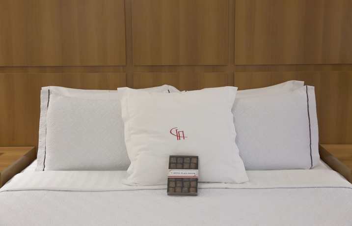 Imagen de la habitación del Hotel Plaza Mayor, Santo Andr&eacute;. Foto 8