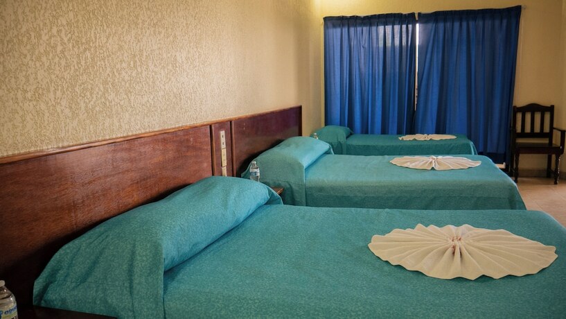 Imagen general del Hotel Plaza Mazari. Foto 6