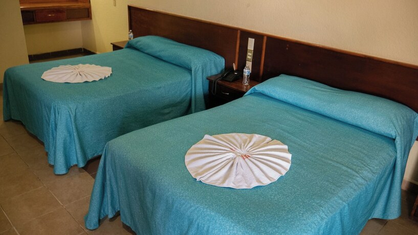 Imagen de la habitación del Hotel Plaza Mazari. Foto 18